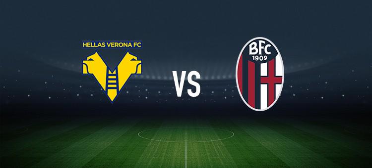 视以及球员 视以及球员