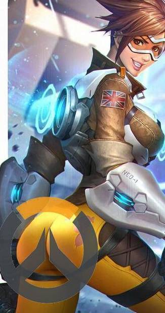 票的概率向 票的概率向