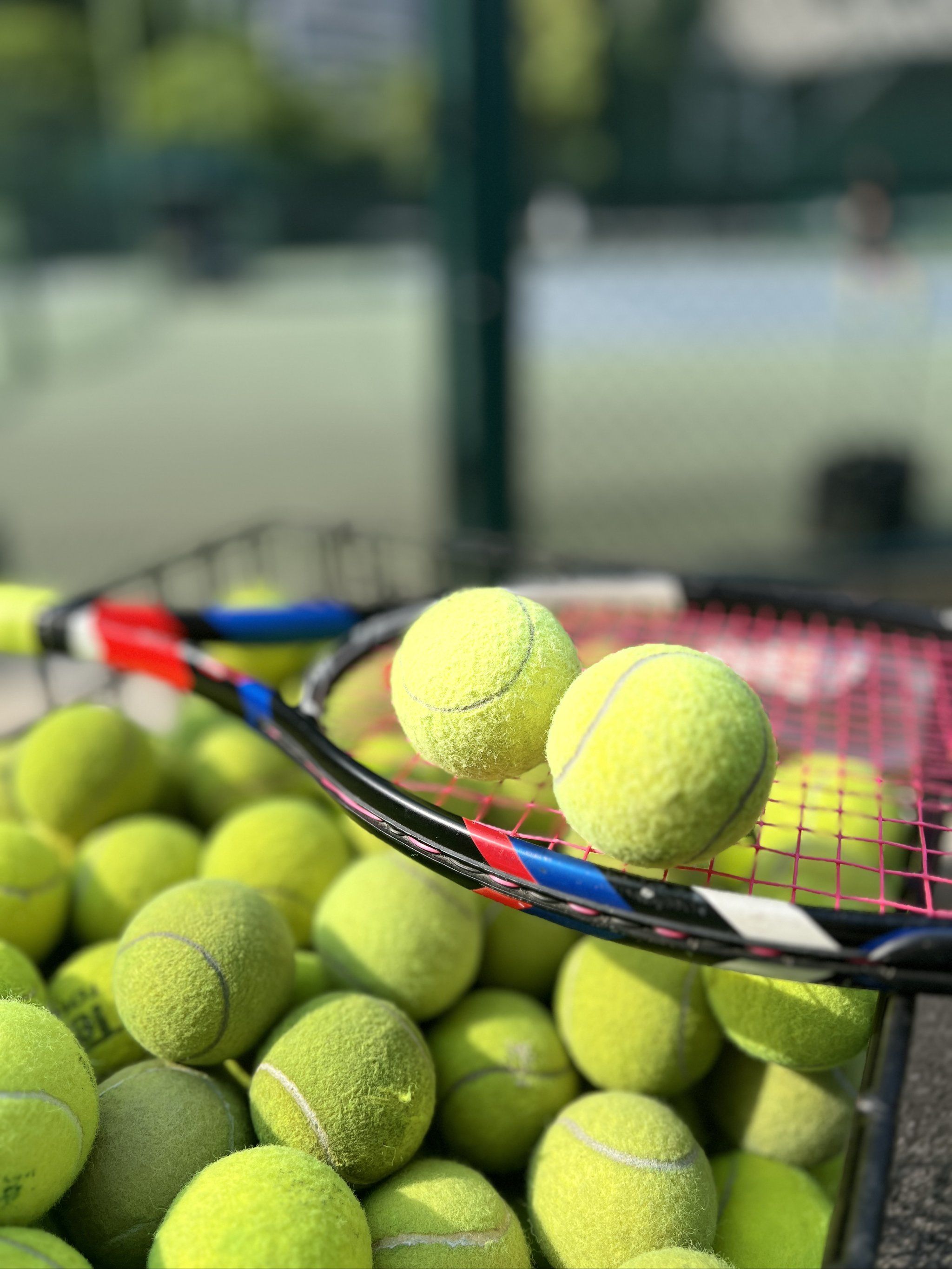 迅速回到结 迅速回到结